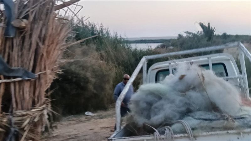 حملة علي محمية وادي