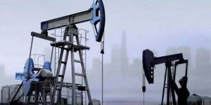 انخفاض
      مخزونات
      النفط
      الأمريكية
      بـ1.4
      مليون
      برميل