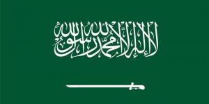 وزارة الخارجية تدين استهداف إيران ناقلة النفط السعودية "سدر" في مضيق هرمز