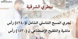 بيطري الشرقية: إجراء المسح التناسلي والتلقيح لـ6810 رأس ماشية خلال أغسطس الماضي