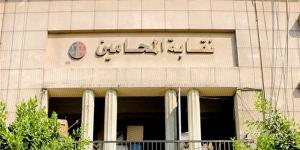 بينهم أشرف نبيل، المحامين تحيل عددا من أعضائها للتحقيق بعد واقعة التراشق مع القضاء على السوشيال ميديا