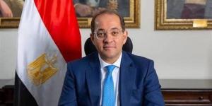 وزير المالية: ثقة المواطنين في «تسهيلات الضرائب العقارية» انعكست في الإقبال على «الموبايل أبلكيشن»