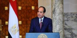 السيسي: نرفض محاولات النيل من استقرار الدول العربية