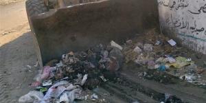 رفع 635 حالة إشغال ثابت ومتحرك و130 طن قمامة ومخلفات من شوارع البحيرة