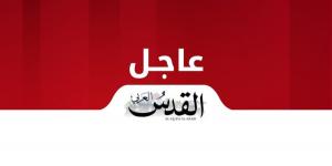 عاجل.. استشهاد الفلسطيني إبراهيم فوزي إثر غارة إسرائيلية على مقبرة السوارحة وسط قطاع غزة