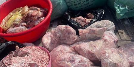 مصادرة 77 كيلو لحوم ومخلفات دواجن غير صالحة للاستهلاك الآدمي بدمياط
