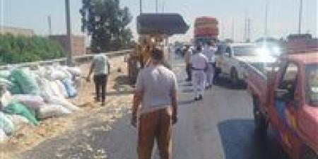 انقلاب حمولة سيارة «جامبو» أعلى كوبري قها بطريق القاهرة–الإسكندرية الزراعي دون إصابات