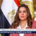 وزيرة التنمية المحلية والبيئة: إزالة 14 ألف حالة تعدٍ ومخالفة بناء