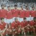 أندية في طي النسيان.. المنيا صانع نجوم منتخب مصر.. عبد الناصر افتتح الاستاد وحسن شحاتة مزق قميصه.. الثمانينيات أفضل فتراته.. شديد قناوي وهشام عبد الرسول “أبرز لاعبيه”