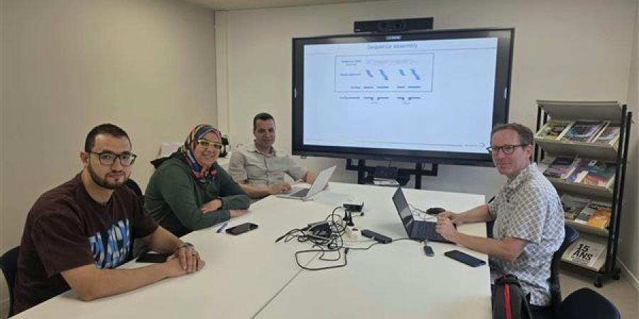 مشروع بحثي مصري فرنسي بجامعة بنها لدراسة انتشار طفيليات الدم في الخيول