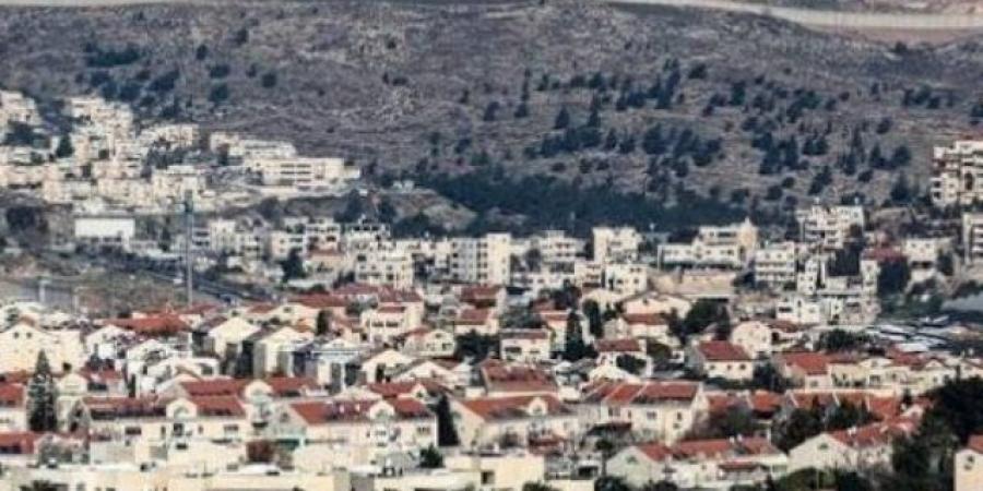 الخارجية الفلسطينية ترحب بتحديث بيانات الشركات المتورطة في أنشطة المستوطنات
