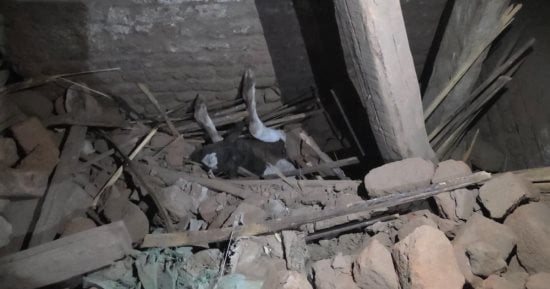 انهيار منزل غير مأهول بالسكان فى جزيرة طما بسوهاج.. صور